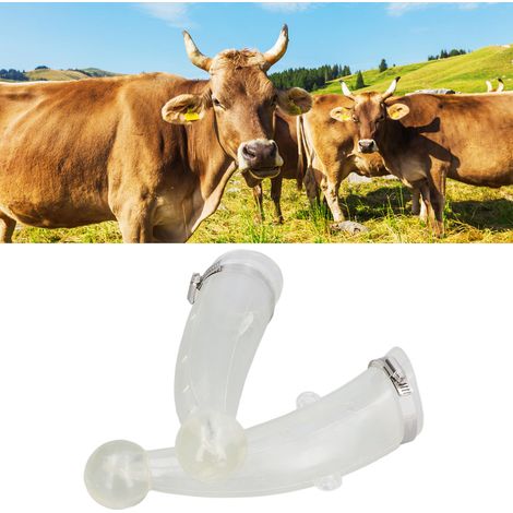 Dispositif anti-groin pour bovins, protection pour cornes de vache, protection anti-groin en silicone pour cornes de vache et veaux (1/5)