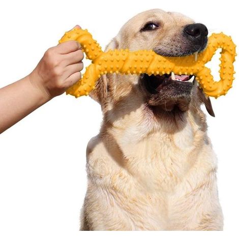 Juguete masticable con forma de hueso, fabricado en caucho duro con diseño convexo, Limpia los dientes y masajea las encías, Color amarillo (1/5)