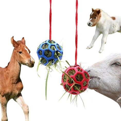 2 bolas de heno para caballos, Cubo de pienso de colores vivos, Pelota de juego educativa, Tamaño mediano, 1414 cm, Azul, rojo (1/5)