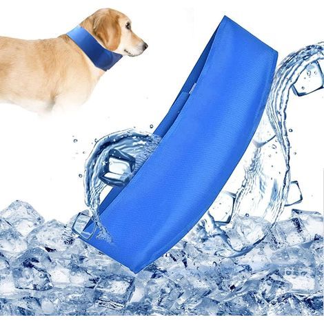 Collier Rafraîchissant pour Chien, Bandana Rafraîchissant pour Chien, Écharpe Rafraîchissante pour Chien, Collier Rafraîchissant pour Chien, Garde les Animaux au Frais, Ajustable, pour Chien et Chat (1/3)