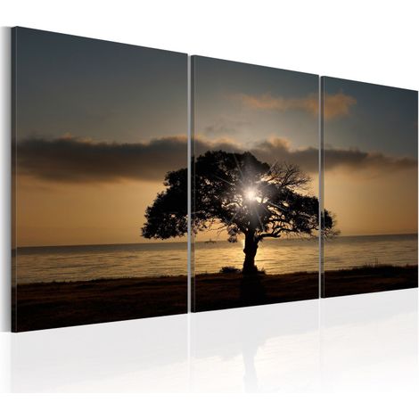 Tableau Imprimé "Extraordinary Nature" 60x120cm (1/2)