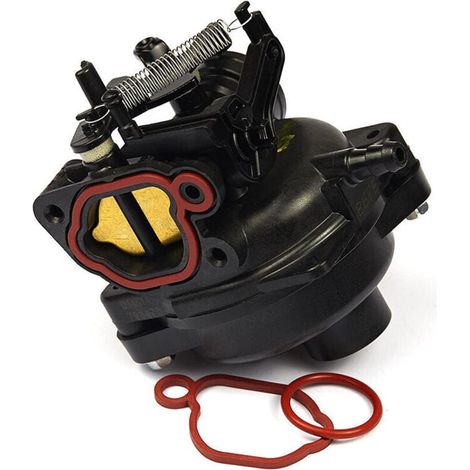Carburatore da giardino adatto per Briggs & Stratton 799584 798675 592361 799579 (1/4)