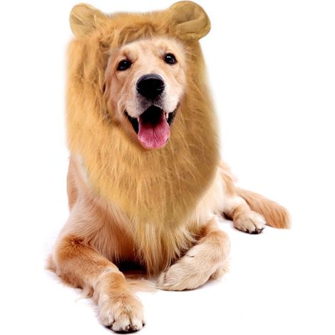 Déguisement de crinière pour chien, perruque réaliste et amusante avec oreilles et queue pour chiens de grande et moyenne taille, idéal pour Halloween. (1/3)