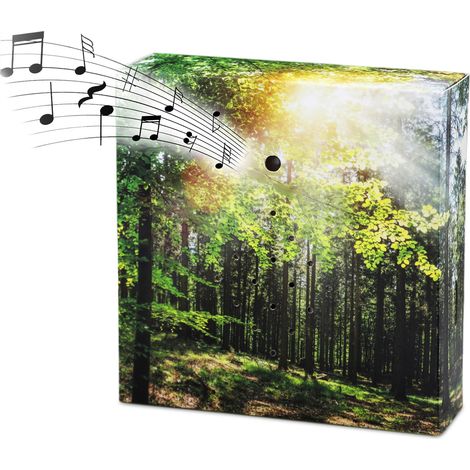 Vogelgezwitscher Soundbox mit Waldgeräuschen - 12 cm - Lautsprecher mit Vogelgesang und Waldkulisse