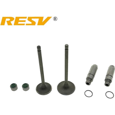 Convient pour Bajaj Boxer CT150 CT 150 150CC Soupape d'admission/d'échappement Tige de soupape Guide de soupape Joint d'huile (Jeu complet) (1/5)