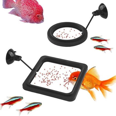 Anneau d'alimentation flottant avec ventouse flexible - 2 pièces - Noir (1/5)