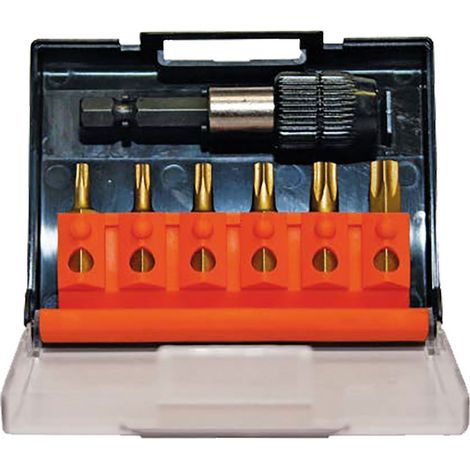 1CF PORTAINSERTO CON INSERTI TORX 7 pz