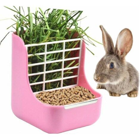Mangeoire à Lapin Mangeoire à Foin pour Cochon d'Inde, mangeoire à Foin pour Cochon d'Inde, Bow de Nourriture en Plastique Chinchilla (Rose) (1/5)
