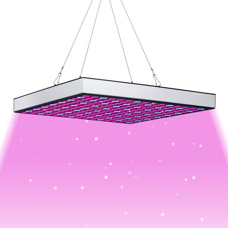 Randaco Lámpara LED para plantas Accesorios para jardín e invernadero Lámpara para plantas de 45 W 225 LED Rojo Azul Espectro completo para invernadero, jardín, flores y cultivo interior