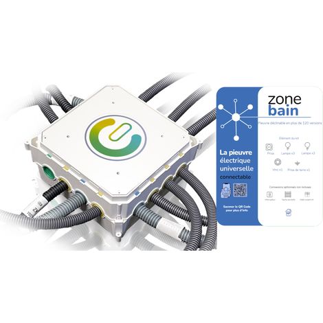 Bis-Electric – Pieuvre électrique universelle zone bain – Câble 3 fils – Longueur 2m – Intensité 16A – Tension 230V – Prêt à l'emploi (1/2)