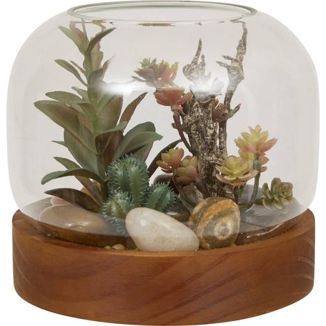 Terrario wonj 15,7x14cm - Atmosphera créateur d'intérieur