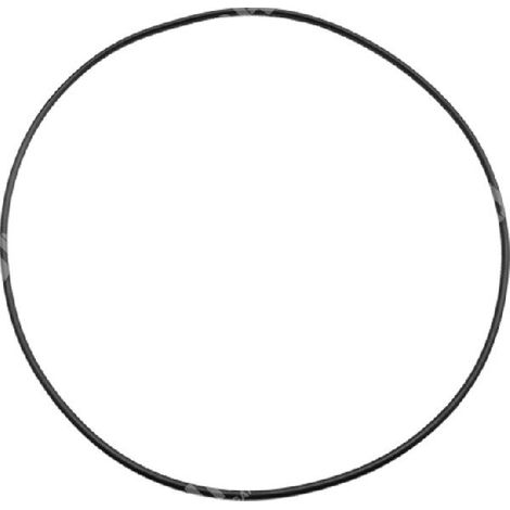 Ring für KOSHIN-Motorpumpen - MITSUBISHI KOMPATIBEL - 002787