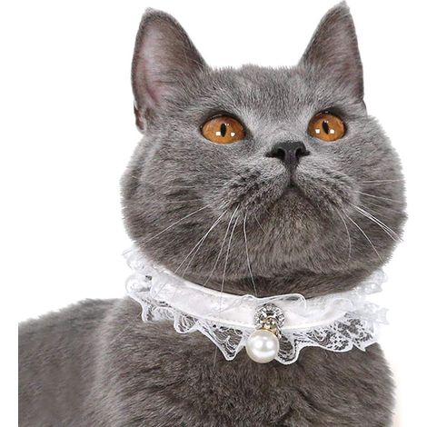 Collier de perle de dentelle de chat pour animaux de compagnie, collier pendentif de perle de chiot pour chaton réglable pour la Fête de mariage (blanc) (1/5)