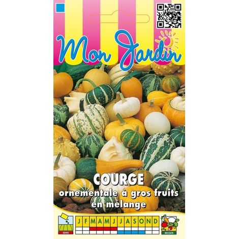 Courge ornementale à gros fruits en mélange - 3g