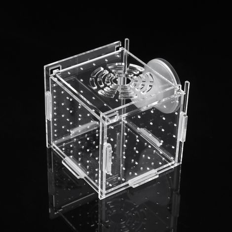 Boîte d'élevage en acrylique pour aquariums, structure transparente, design compact, pour isoler et reproduire les poissons.-AquaForge