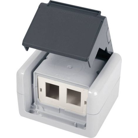 Prise réseau montage apparent (en saillie) CAT 5e, CAT 6, CAT 6a Telegärtner 100021370 gris R05237 (1/2)