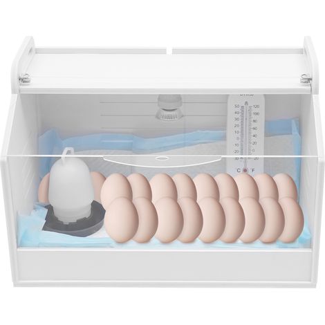Couveuse œufs, 25W - Incubateur à poussins pour 20 œufs, thermomètre et abreuvoir inclus, pour éclosion de poule, caneton et caille (1/5)