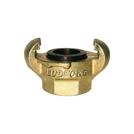 Raccord à griffes DIN 3489 fonte IG 3/8 SW22