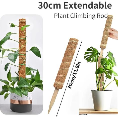 Tuteur extensible en fibre de coco (1 pièce, 30 cm) pour plantes grimpantes, idéal pour les palmiers et les vignes. Décoration florale pour balcon, jardin ou cour. (1/4)