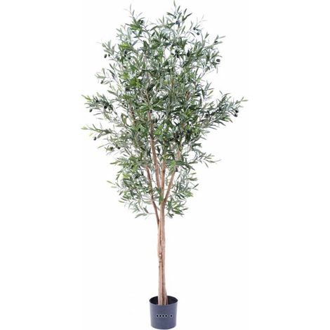 Olivier artificiel en pot 3 troncs H 180 cm Vert - dimhaut: H 180 cm - couleur: Vert