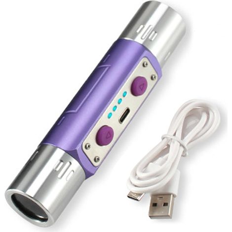 Lampe de Poche Professionnelle pour Pierres précieuses avec lumière UV Double 365 nm et 254 nm, lumière Noire à Charge Rapide de Type C pour l'inspection des minéraux et des devises (1/4)