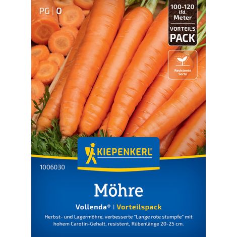 Kiepenkerl Saatgut Möhrensamen Vollenda Vorteilspackung für ca. 25 – 36 m² (1/2)