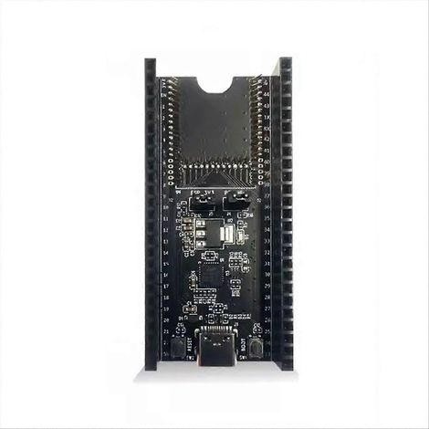 ESP-Module-Prog-1 Plinthe chauffante conçue (1/5)