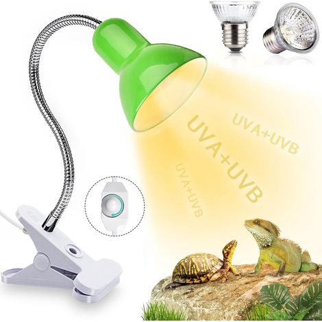 Lampe chauffante pour tortues, lampe pour tortues terrestres, lampe chauffante pour reptiles, amphibiens, tortues (vert) (1/5)