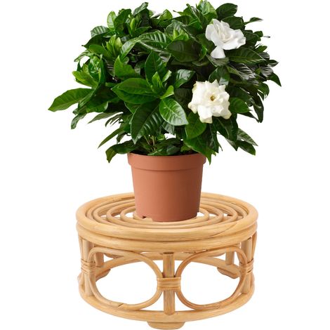 Support à fleurs rond en rotin, style nordique, pour pots de fleurs de restaurant ou pothos d'intérieur/de balcon, grande taille. (1/5)