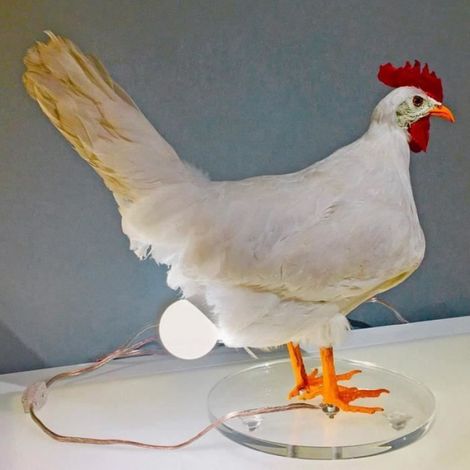 Lampe Veilleuse En Résine Poulet Pondeuse Blanc Chambre À Coucher Décoration Intérieure USB 14.5 x 6 x 15.5 cm (1/4)