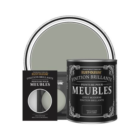 Peinture pour Meubles Brillante - Feuille de Thé (1/3)