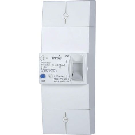 Disjoncteur d'abonné 2x60A 500mA sélectif – Pour installations électriques – 1P+N – 240 Vac – 3614 – Digital Electric