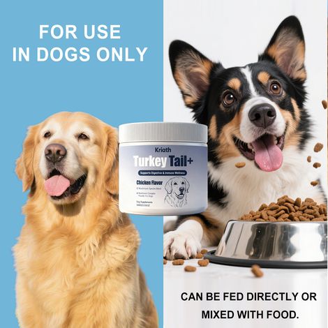 Complément immunitaire doux pour chiens, adapté aux soins et à l'entretien quotidiens de votre animal – 100 g (1/5)