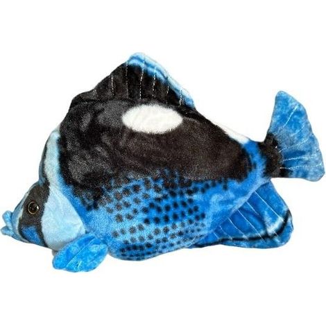Pesce epato blu 41 cm