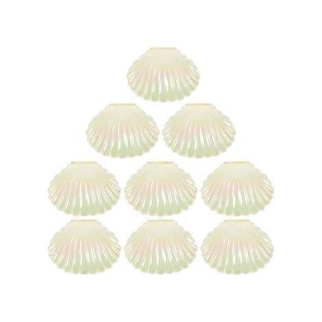 10 Stück Muschel-Bonbonboxen, Muschel-Gastgeschenkboxen, Schmuck- und Geschenkaufbewahrungsboxen (Weiß)