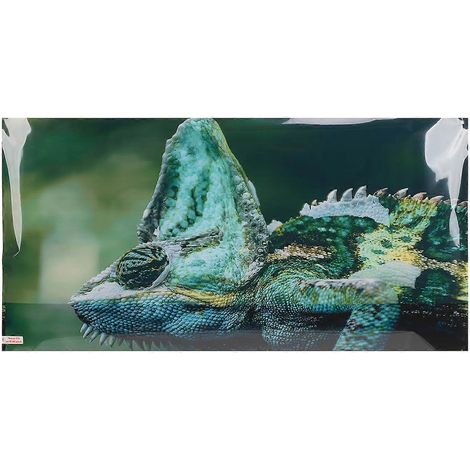3D-PVC-Aquariumdekor mit Landschaftseffekt, multifunktionale Rückwand für Aquarien, Aquascape-Motiv zur Aquariendekoration (1/5)