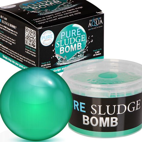 Evolution Aqua Pure Schlammbombe – Schlammentfernung und sauberes Wasser (1/5)