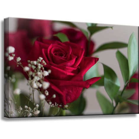 Leinwanddruck Botanische rote Rosen 60x40 cm