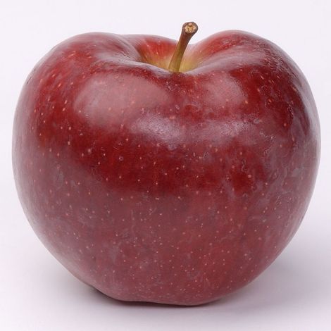 Pommier Starking/Pot de 10L - Gobelet 2 ans - 120/150 cm (1/5)