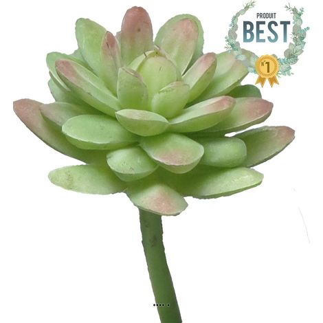 Echeveria elegans factice en piquet, H16cm, D12cm, Vert-rouge - BEST - couleur: Vert-rouge (1/2)