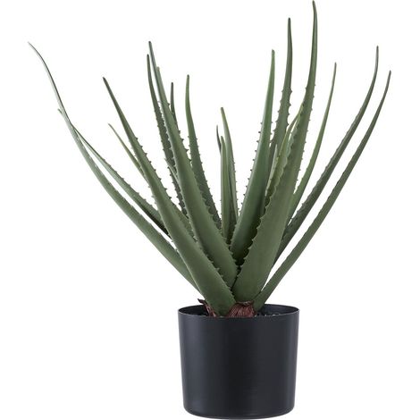 Pianta artificiale Aloe Vera in vaso nero H51 cm