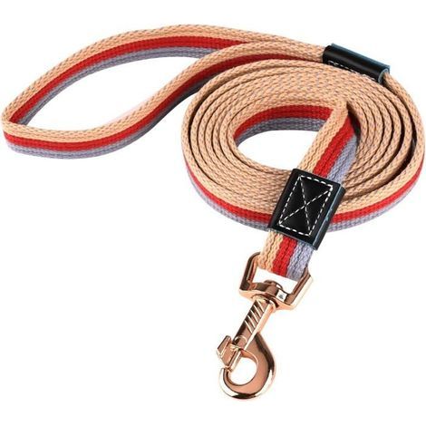 Strapazierfähige, 2 m lange Hundetrainingsleine, rutschfest, geeignet für kleine, mittlere und große Hunde (rot) (1/5)