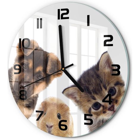 Horloge Murale Ronde Originale en Verre Silencieuse Design Moderne Salon Animaux de compagnie fi 30 cm (1/5)