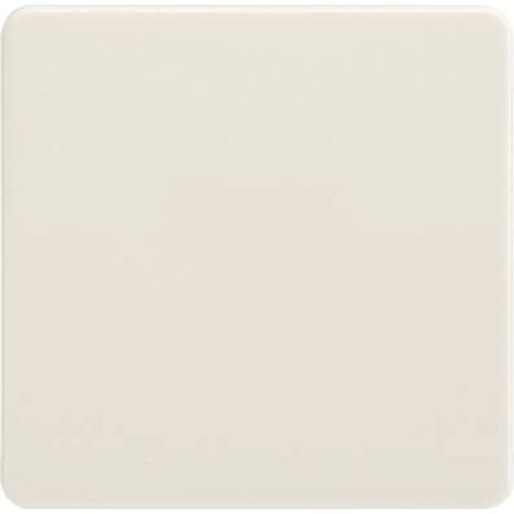 Elso Wippe pw f. Taster/Schalter 213600 (1/2)