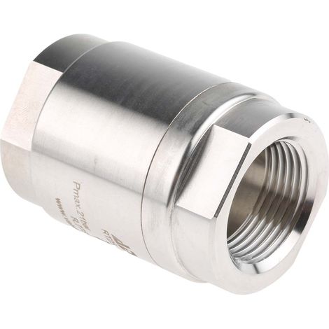 Clapet antiretour en Acier inoxydable RS PRO BSP 1" ( Prix pour 1 ) (1/3)