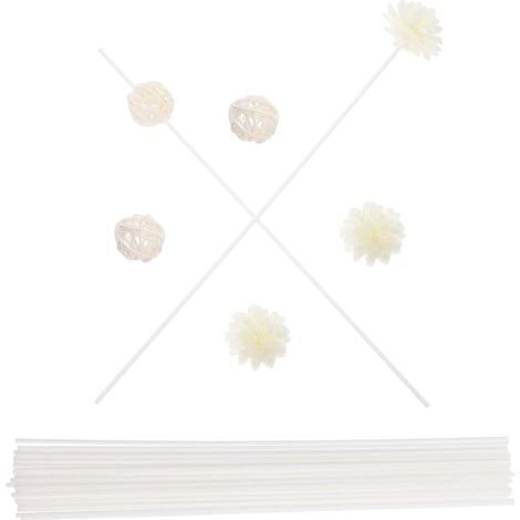 Diffuseur Bâtons Rattan et Fleurs PE Recharge Parfum Ambiance Maison été Diffuseur Élégant pour Salon Bureau Chambre (1/5)