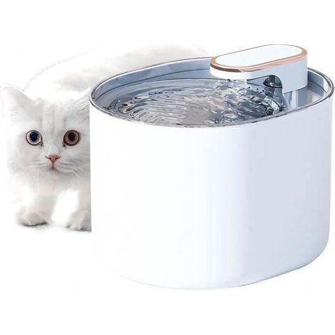 1 Fontaine à Eau Chat, Ultra Silencieuse, 3 L, Filtre Sans BPA, Blanc, pour Chats et Chiens (1/4)