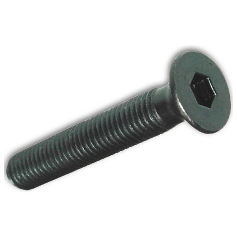 VITI METALLO TP ESAGONO INCASS. 6X20MM BRUNITE