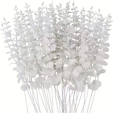 Bardusch - Branches décoratives d’eucalyptus gris-argent, 20 unités, usage intérieur/extérieur (1/4)