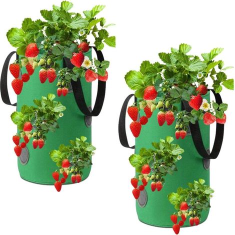 Set di due fragole decorative da appendere, realizzate in tessuto non tessuto, di colore verde, 20 x 35 cm. (1/3)